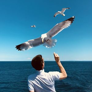 Rear view of seagulls flying over sea against sky