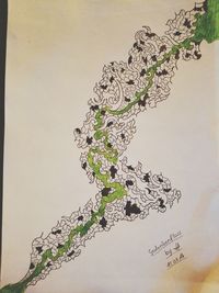 Close-up of tree against sky