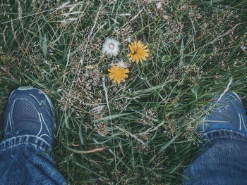Low section of person standing on grassy field