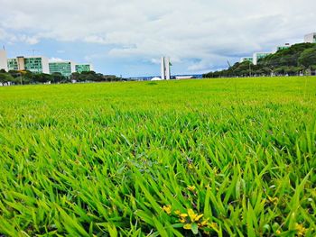 Scenic view of field against sky