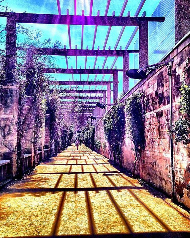 the way forward, architecture, built structure, diminishing perspective, building exterior, vanishing point, tree, walkway, transportation, long, railroad track, railing, empty, day, footpath, no people, wall - building feature, outdoors, narrow, cobblestone