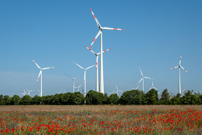 renewable energy