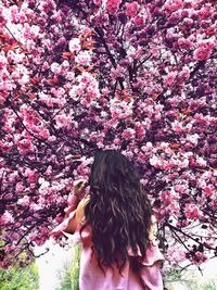 Rear view of woman on pink flower tree