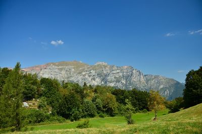 Scenic view of green landscape and mountains against sky