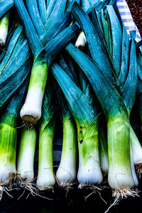 Close-up of vegetables