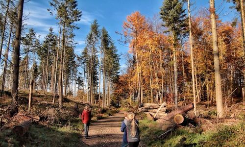 Man standing in forest