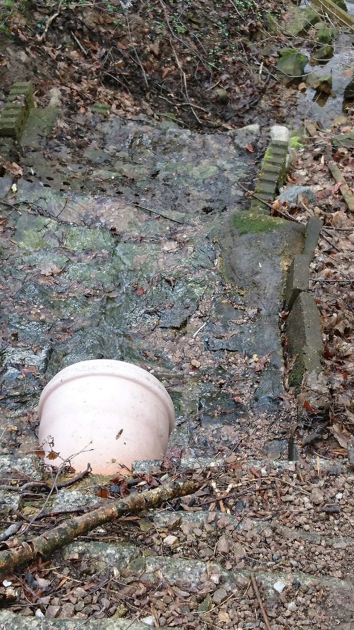 high angle view, field, ground, leaf, grass, dry, day, nature, outdoors, dirt, messy, no people, plant, abandoned, fallen, street, sunlight, tranquility, growth, close-up