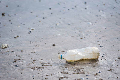 Close-up of bottle on sand at beach