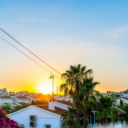 Palm trees and houses against sky during sunset