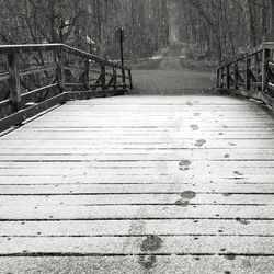 View of wooden boardwalk