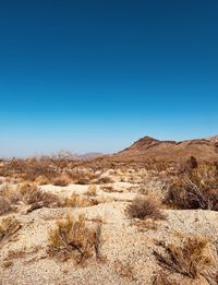 Ombré sky over the mojave desert 