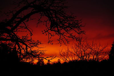 Silhouette bare tree on field against orange sky