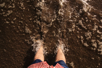 Low section of woman standing in forest