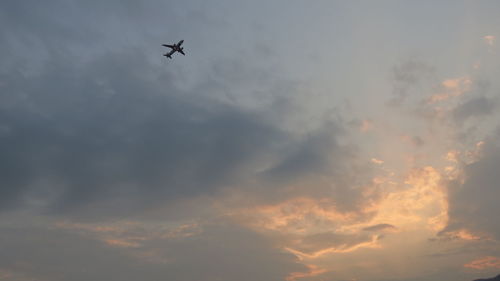 Low angle view of airplane flying in sky