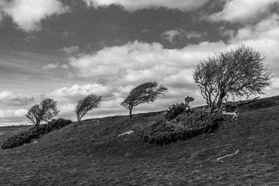 Bare trees on field against cloudy sky