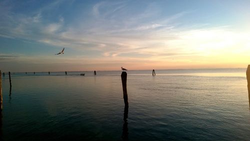 Scenic view of sea against sky at sunset