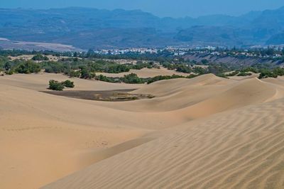 Scenic view of desert