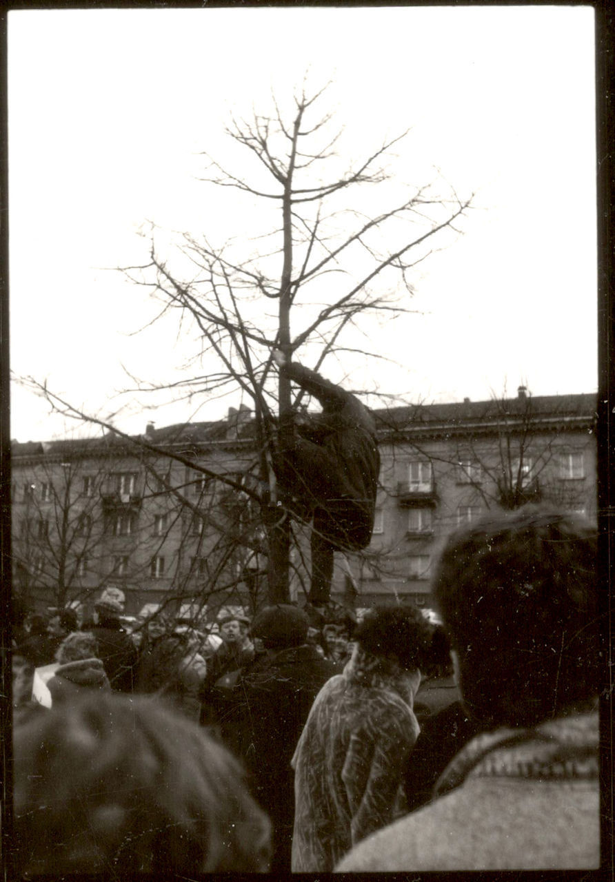 VIEW OF BARE TREES IN CITY