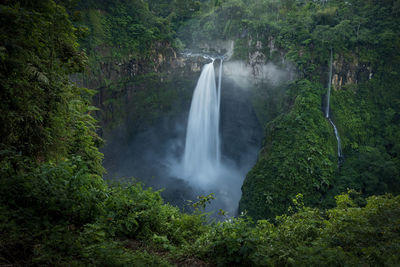 Scenic view of waterfall in forest