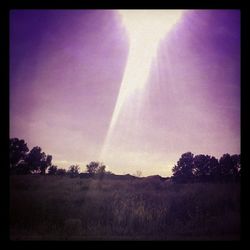 Scenic view of grassy field against sky