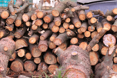 Full frame shot of logs in forest