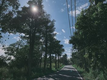 Road amidst trees against sky in city