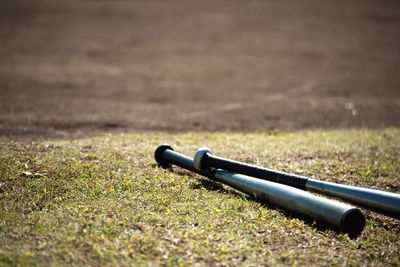 Close-up of grass on field
