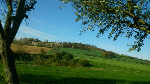 Scenic view of grassy field against cloudy sky