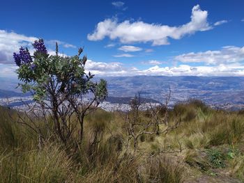 Scenic view of land against sky