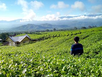 Pagar alam