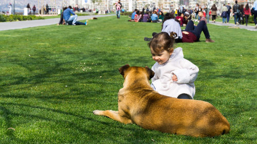 Dog with dogs on grass