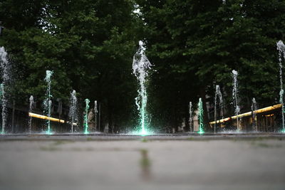 Low angle view of waterfall in forest