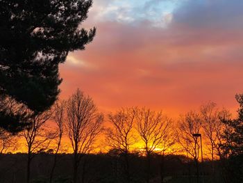 Silhouette trees on field against romantic sky at sunset