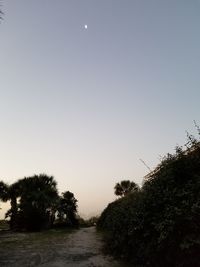 Trees growing on field against clear sky