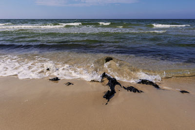 Scenic view of beach against sky