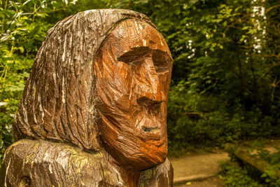 Close-up of sculpture in forest