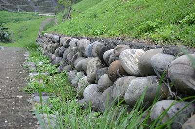 Stack of stones on grass