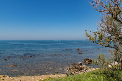 Scenic view of sea against clear blue sky