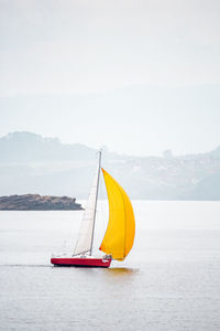 Sailboat sailing on sea against clear sky