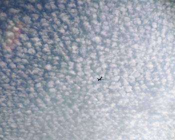 Low angle view of bird flying against cloudy sky