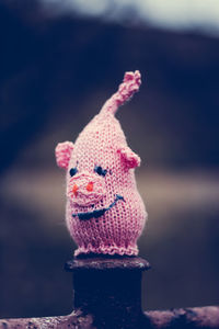 Close-up of a hand knitted pig head