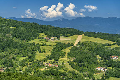 Scenic view of agricultural field against sky