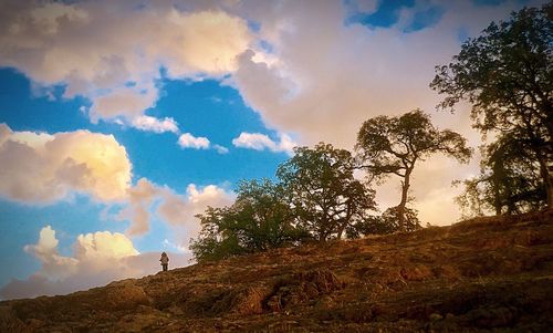 Trees on hill against blue sky