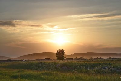 Scenic view of landscape against sky during sunset