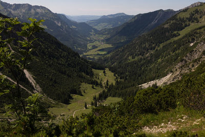 High angle view of trees and mountains