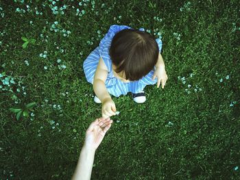 High angle view of baby girl on grass