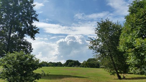 Trees on field against cloudy sky