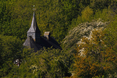 Small church in woodland