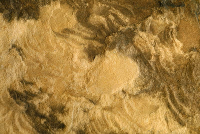 backgrounds