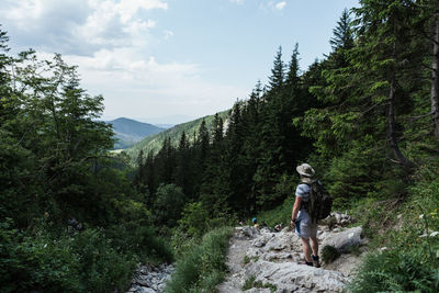 Rear view of man walking on mountain